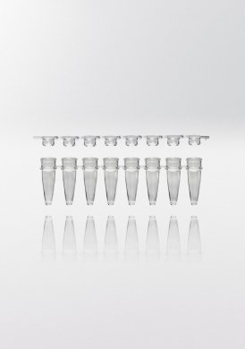 PCR-rör