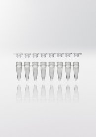 PCR microcentrifuge tube PP, 0,2ml, enclosed 8-capstrip flat & transparent, transparent, np, 2400pcs