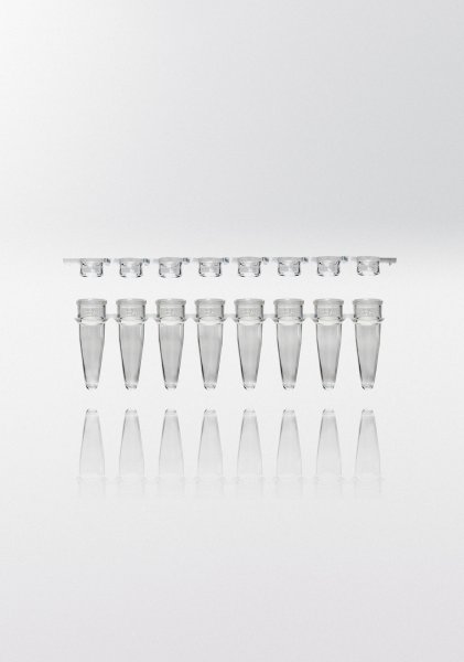 PCR microcentrifuge tube PP, 0,2ml, enclosed 8-capstrip flat & transparent, transparent, np, 2400pcs
