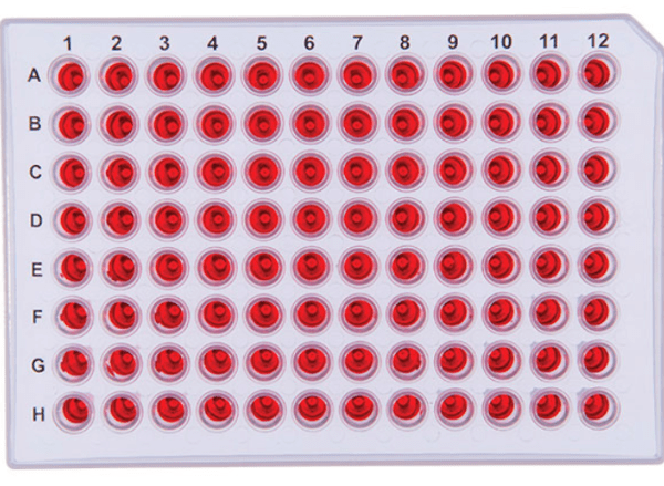 Pcr plates , pp - 96 semi-skirted standard well, DNase/RNase free, 50pcs